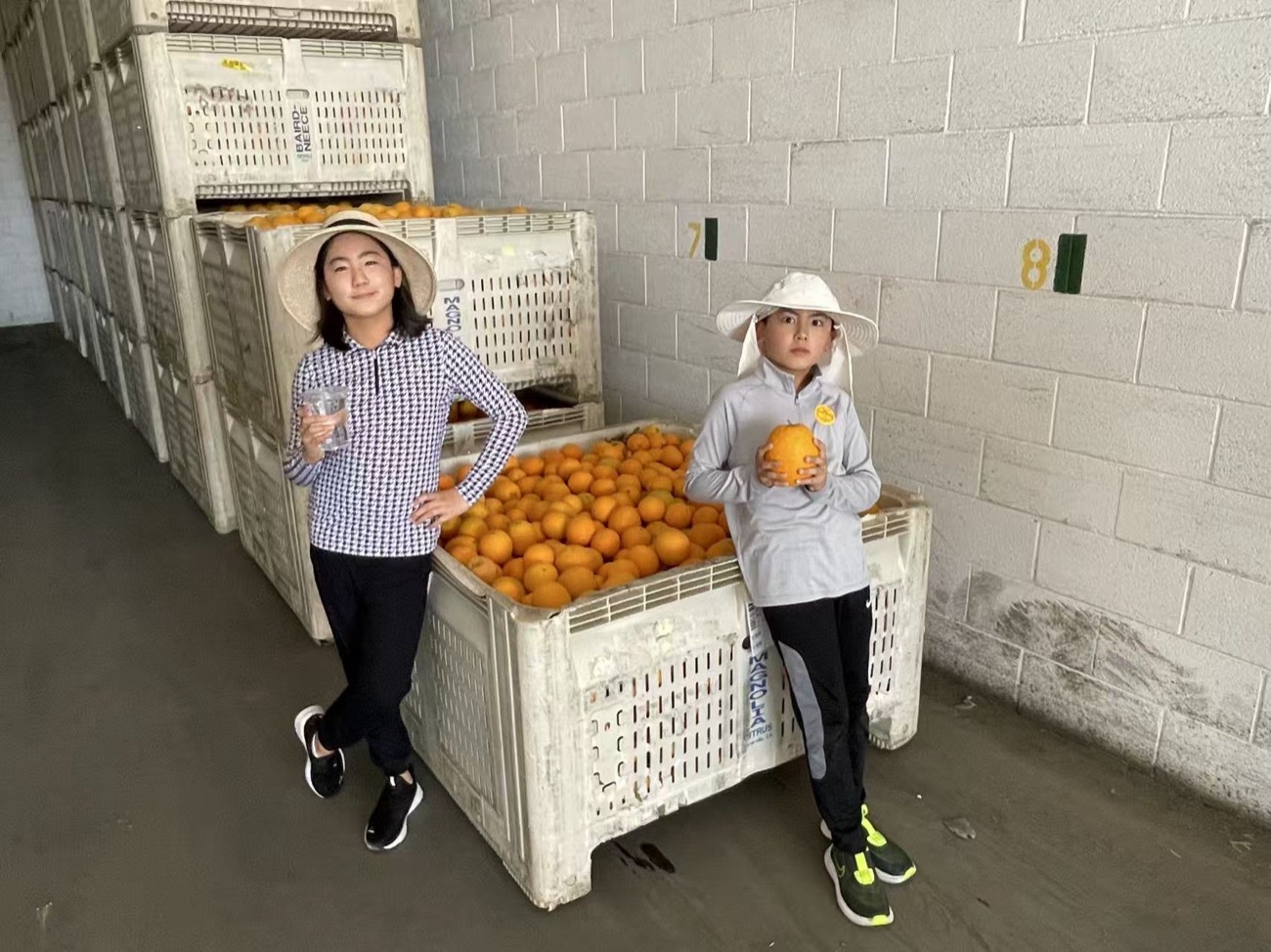 Infinity 8 citrus warehouse